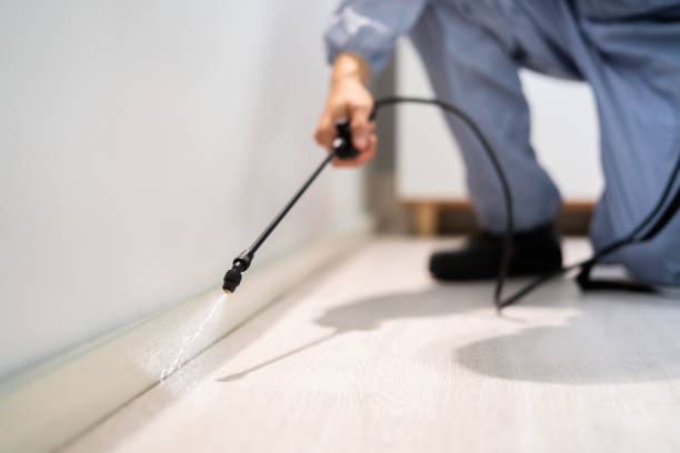 Licensed Pest Control service in Salamatof, AK - Show Me Pest Control